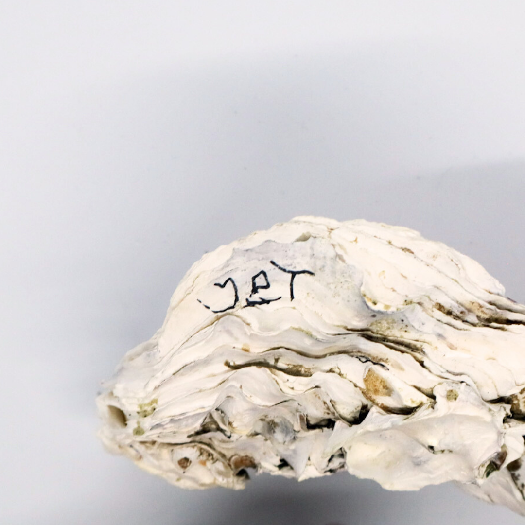 sierbakje-oester-kreeft-achterzijde-2
