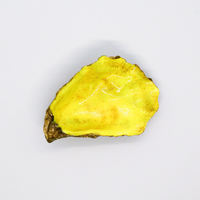 sierbakje-oester-gele-glitters-voorzijde