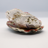 sierbakje-oester-kreeften-achter